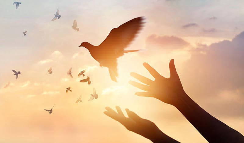 Cosmoenergetica in Romania